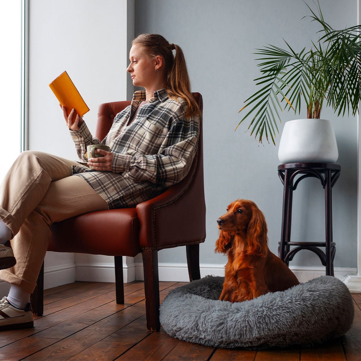 PEACEFUL POOCH: Cama de lujo para mascotas