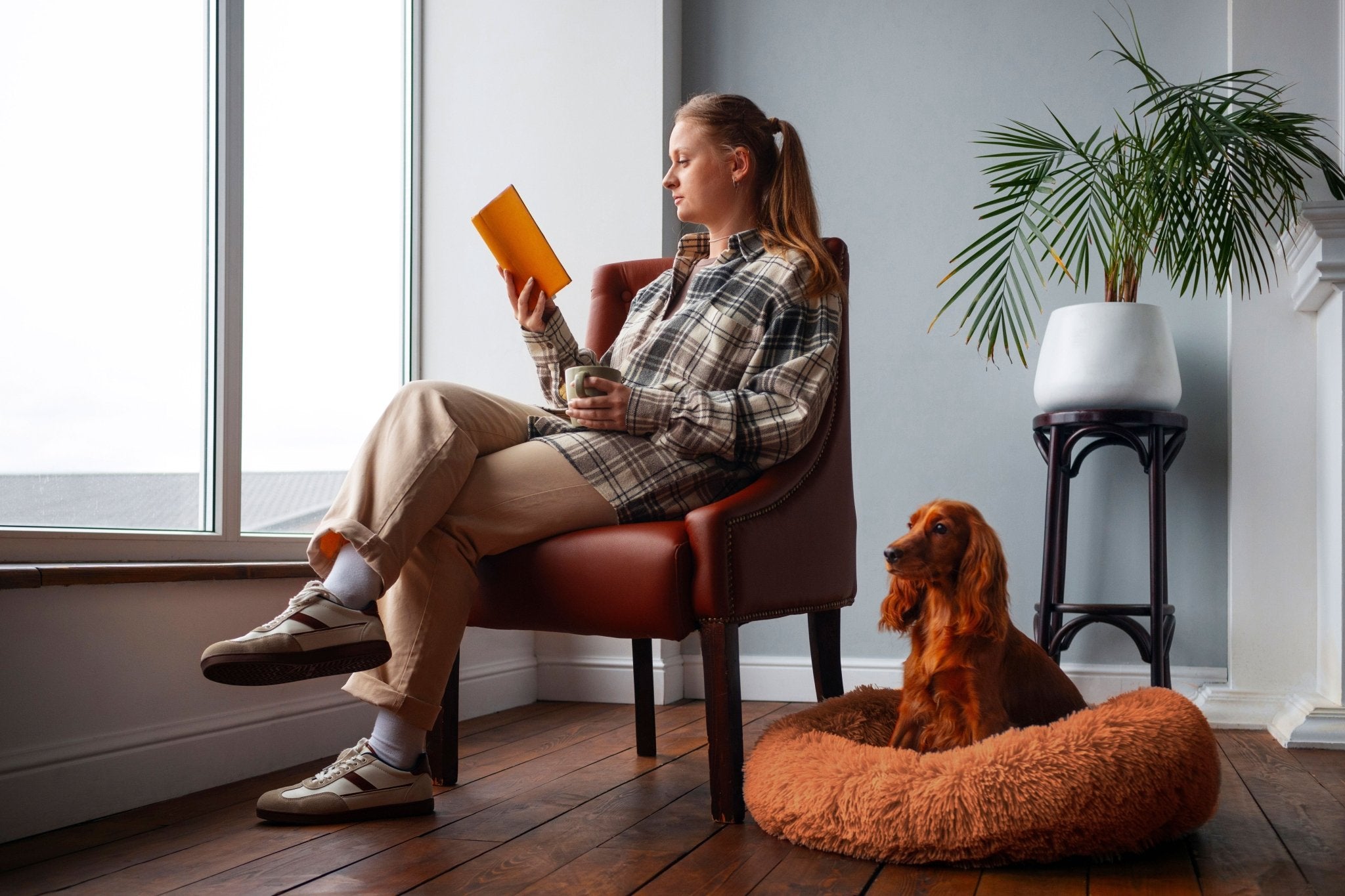 PEACEFUL POOCH: Cama de lujo para mascotas