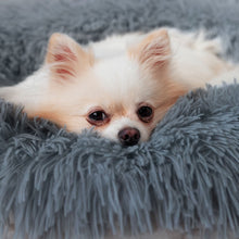 Cargar imagen en el visor de la galería, PEACEFUL POOCH + Cepillo Quita Pelo De Regalo