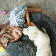 Cargar imagen en el visor de la galería, PEACEFUL POOCH + Cepillo Quita Pelo De Regalo