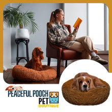 Cargar imagen en el visor de la galería, PEACEFUL POOCH + Cepillo Quita Pelo De Regalo