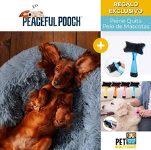 Cargar imagen en el visor de la galería, PEACEFUL POOCH + Cepillo Quita Pelo De Regalo